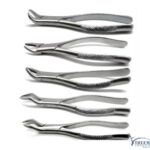 Dental Extraction Forceps Set of 10 – Professional Tooth Extraction Kit | Xtreem Invent - Image 2