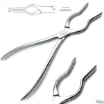 Walsham Septum Straightening Forceps 23cm – ENT Nasal Reduction & Septoplasty Instrument